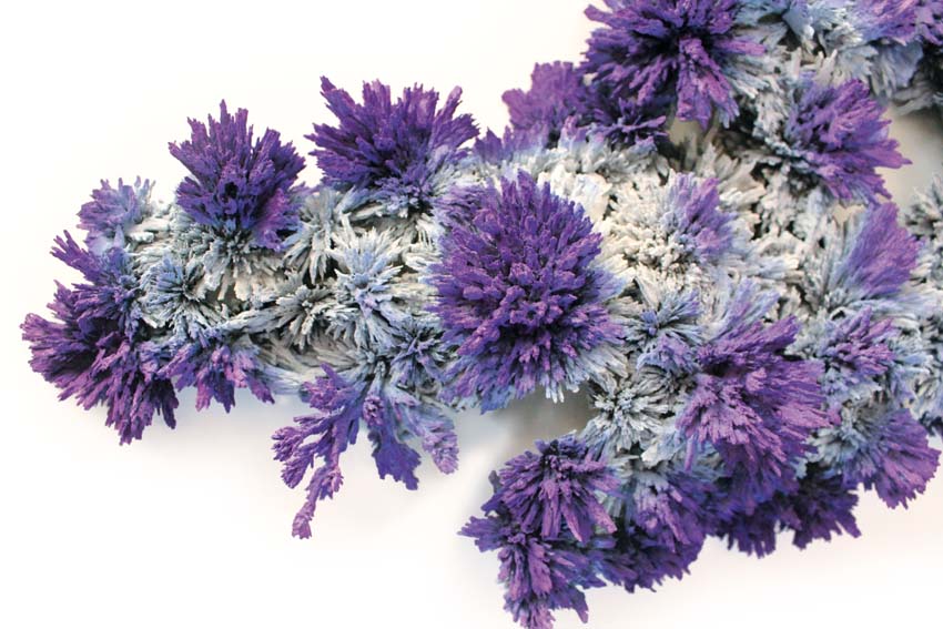Transnatural_Thermophores_closeup01