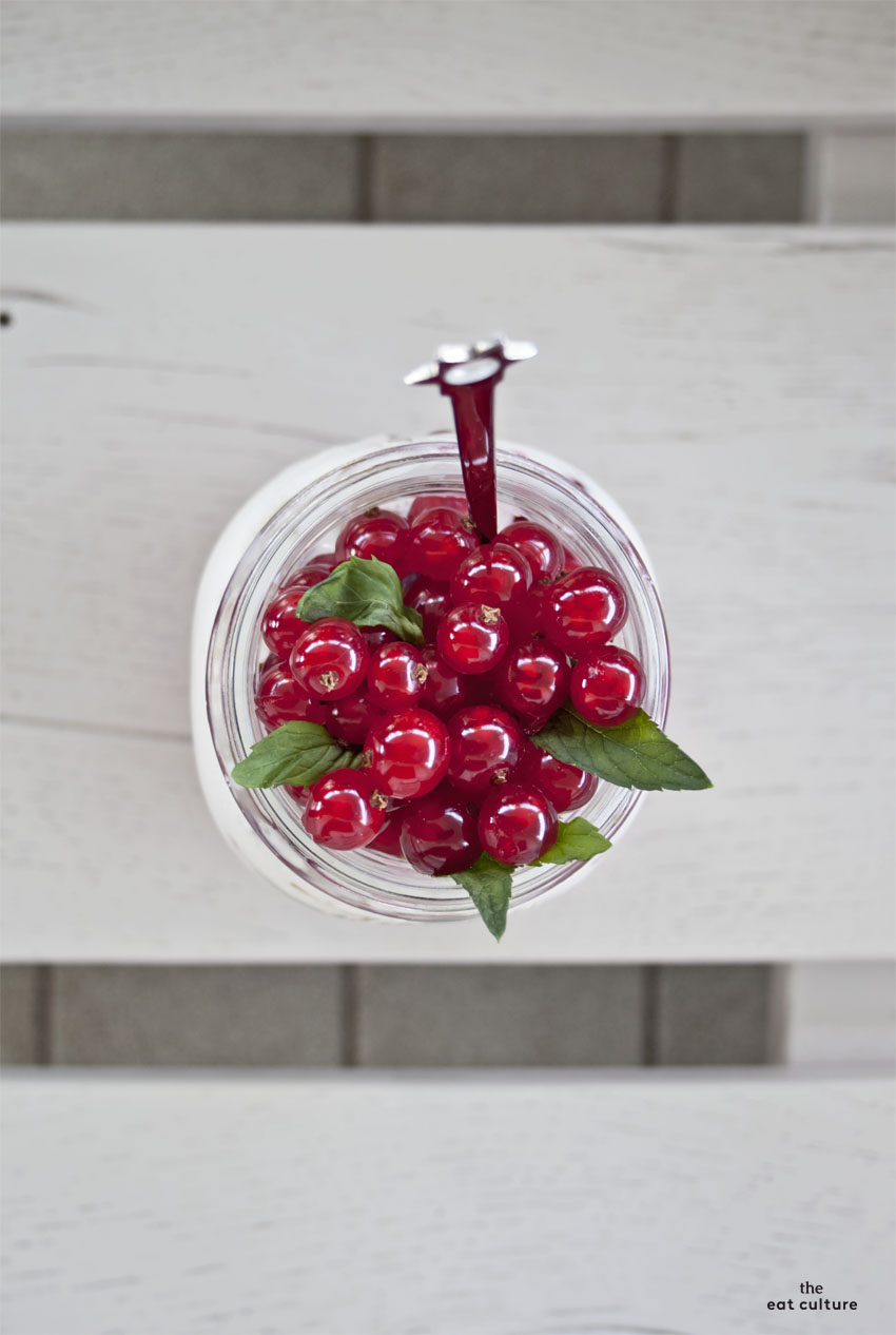 Chia pudding_3
