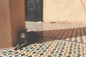 Ritorno da Marrakech. I sapori del Caffeè des Epices.