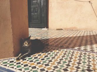 Ritorno da Marrakech. I sapori del Caffeè des Epices.