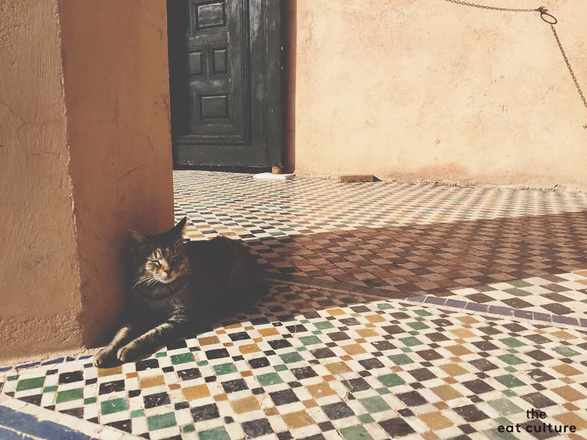 Ritorno da Marrakech. I sapori del Caffeè des Epices.