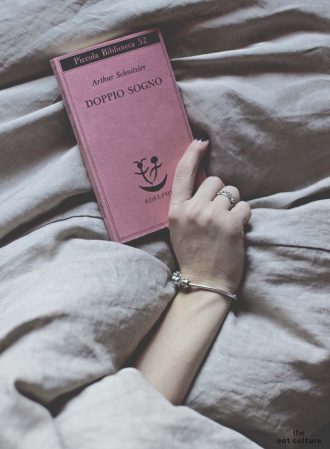 A dream Novel