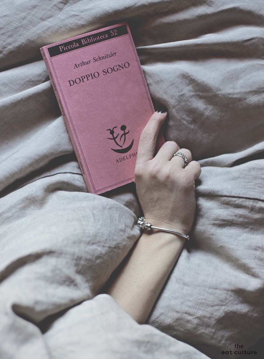 A dream Novel